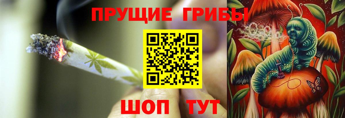 Коркино  Псилоцибиновые грибы прущие грибы  Вход с VPN 